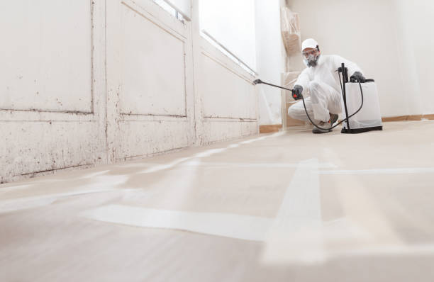 24/7 Emergency Attic Mold Remediation experts in Georgetown, PA