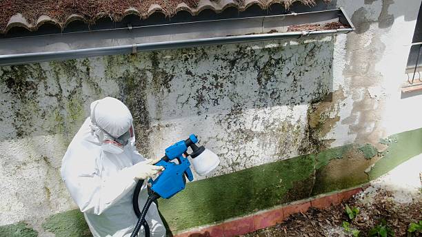 Top rated local Attic Mold Remediation specialists in Georgetown, PA